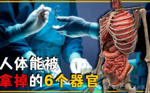 西医伪科学的十大罪行