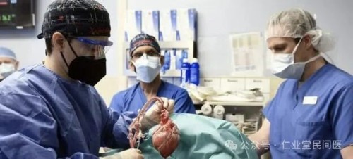 西医伪科学的十大罪行