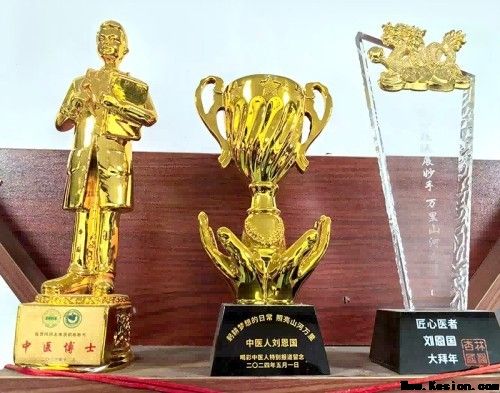 岐黄薪火永相传 仁心济世护苍生——专访国医泰斗刘恩国