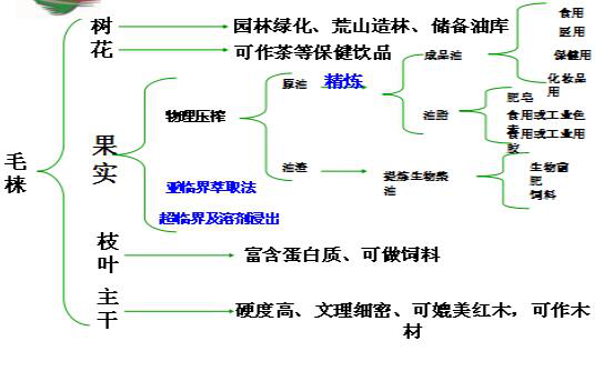 毛梾籽油新闻发布会