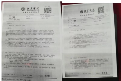 以食养之道重塑生命本源 ——志善堂的科研探索与人文实践者李文忠