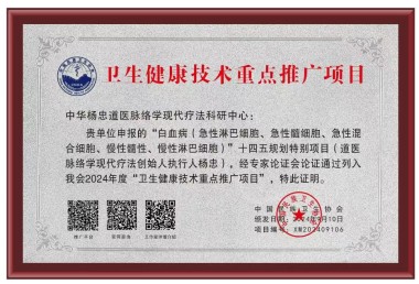 中华道医脉络学现代疗法创始人---杨忠