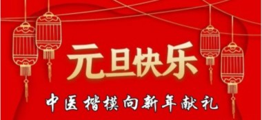 中国医学2025元旦特别报道 当代著名中医专家---王先芝