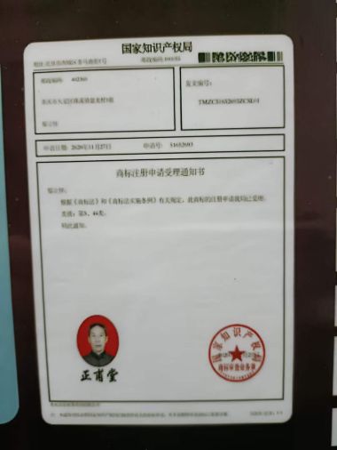 中医传国脉 岐伯济天下 治瘫奇人---鄢正甫