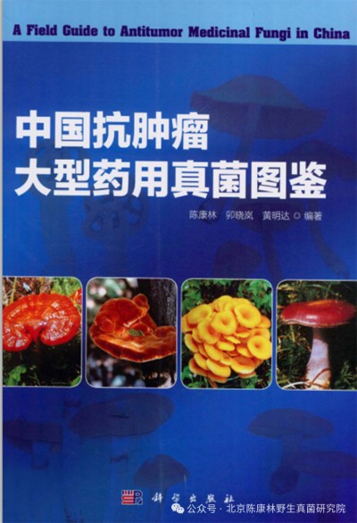 陈康林怎么治疗肿瘤的