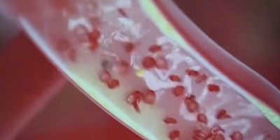 二十载医路奋进，特色疗法领航——高谷良（高金鹏）的中医康复创新征程